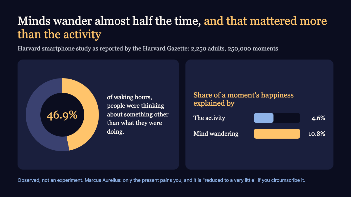 A ring showing minds away from the task 46.9% of waking hours, and bars showing wandering explained 10.8% of happiness against 4.6% for the activity
