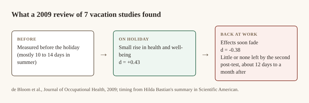 A three-box diagram of the 2009 review: before the holiday, a small rise on holiday at d = +0.43, and a fade back at work at d = -0.38